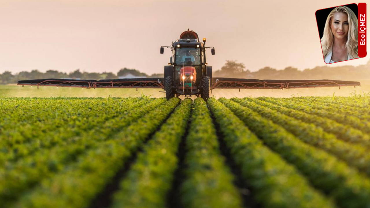 'Çiftçi kâr edebilse tarlasını boş bırakmaz'