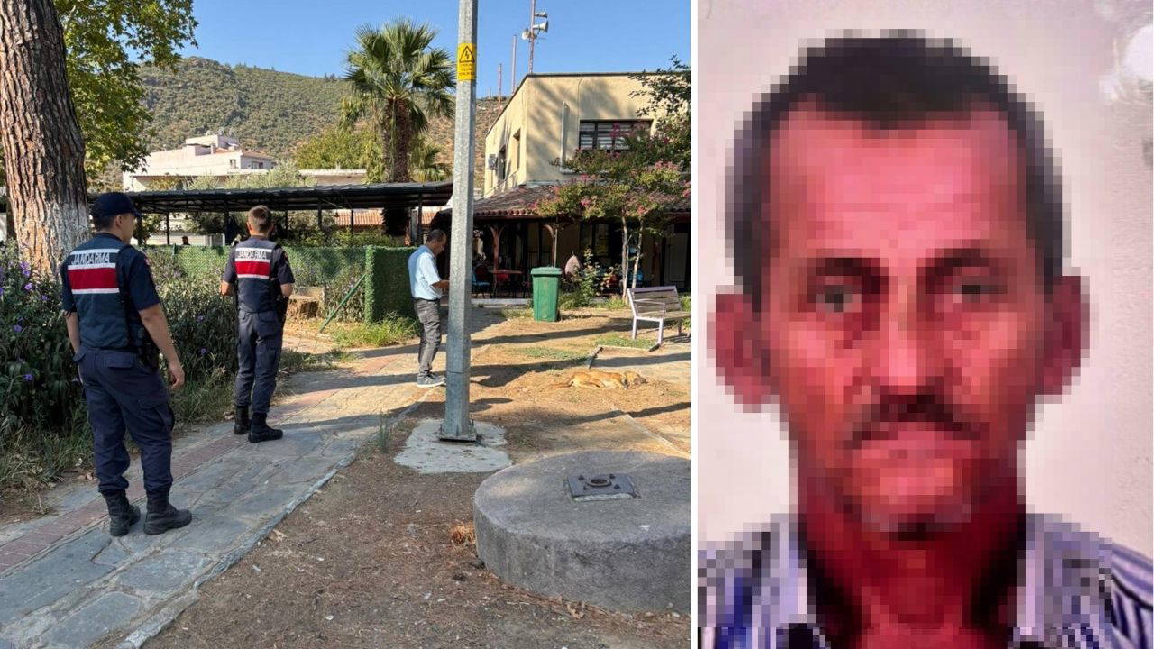 10 köpek, 5 kediyi öldürdü: Şüpheli zehirli etleri çocuklara dağıttırmış