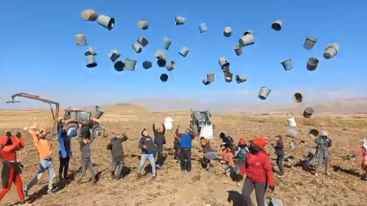 Patnos Ovası'nda hasat tamamlandı: 500 dönüm araziden bin 650 ton ürün elde edildi