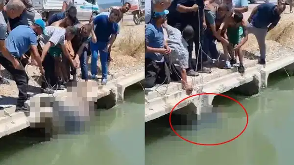 Bursa'da sulama kanalında erkek cesedi bulundu: Kimliği belirlendi
