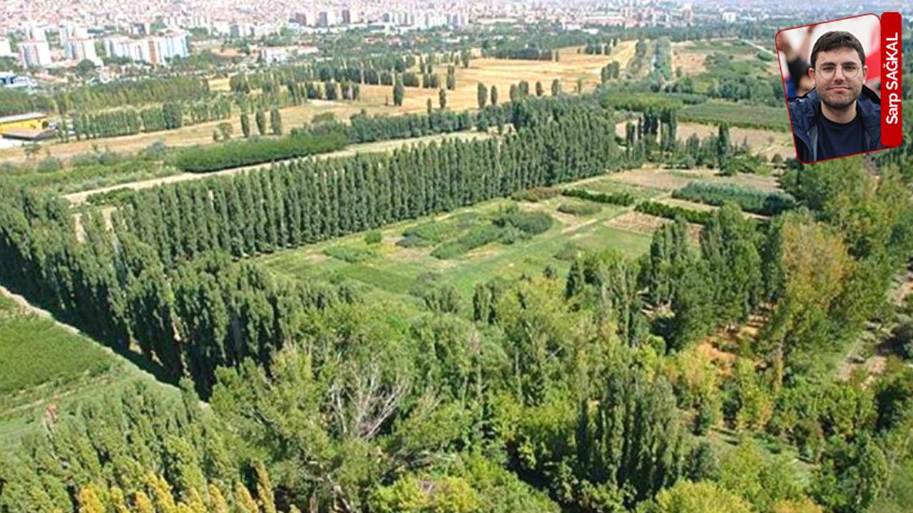 Muhalefet, Meclis’te AOÇ’nin inşaatları ve arazi kayıplarını sordu: Talan yokmuş!