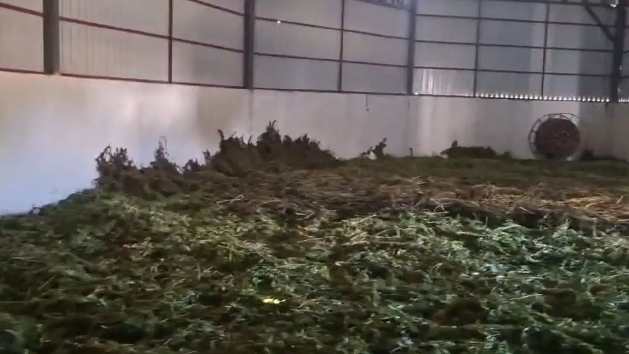 Diyarbakır'da dev uyuşturucu operasyonu: 2,2 ton esrar ele geçirildi