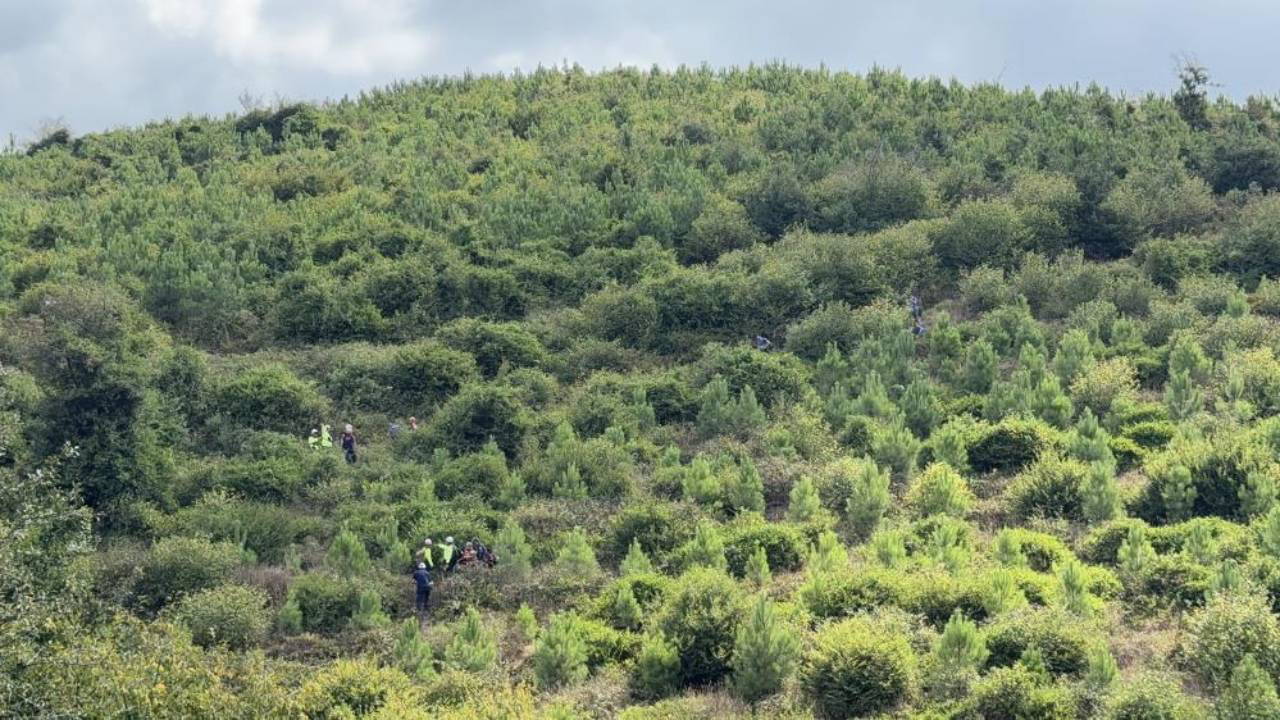 90 yaşındaki adam ormanlık alanda ölü bulundu!