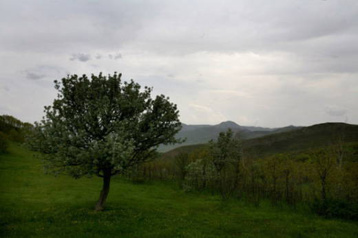 Uçak düştü: 103 ölü