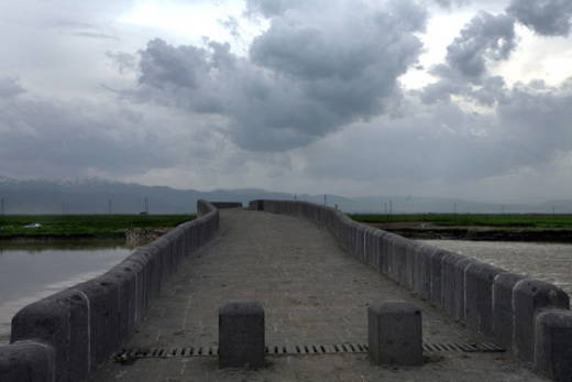 Uçak düştü: 103 ölü