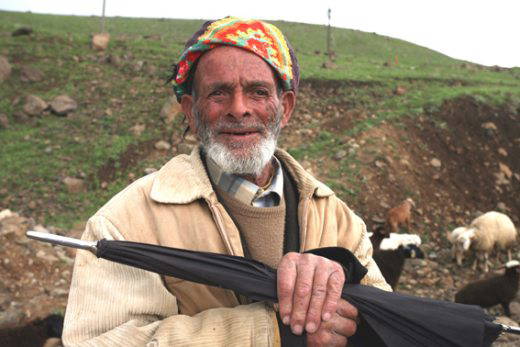 Uçak düştü: 103 ölü