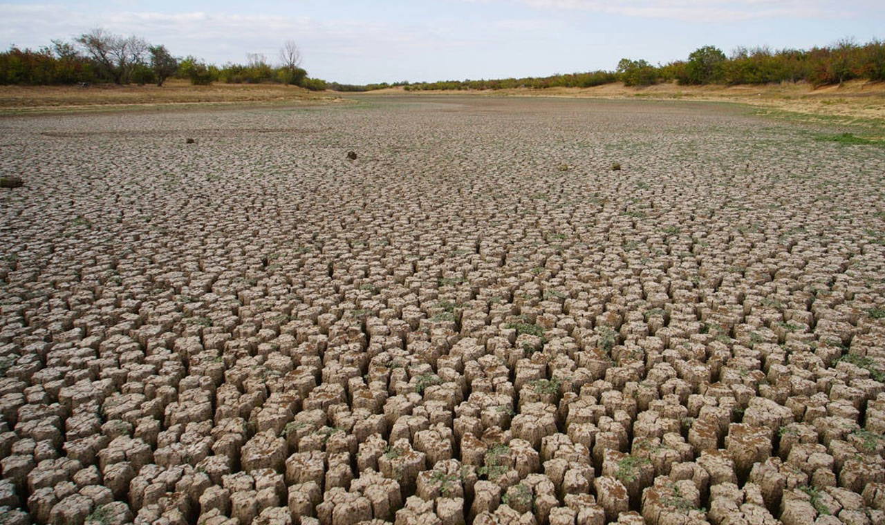 Şerbettar Göleti tamamen kurudu: Besiciler su kaynağı arayışında