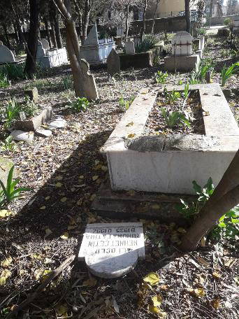 Mezarlıkta dehşete düşüren olay