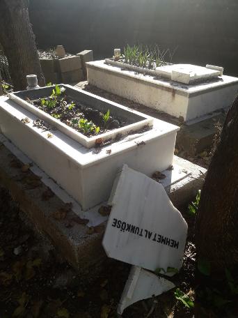 Mezarlıkta dehşete düşüren olay