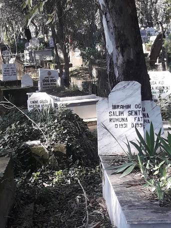 Mezarlıkta dehşete düşüren olay