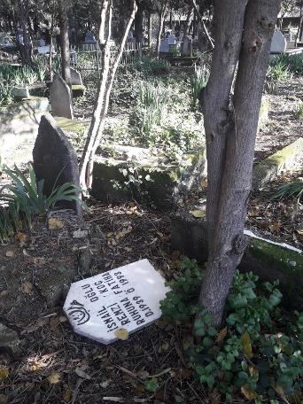 Mezarlıkta dehşete düşüren olay