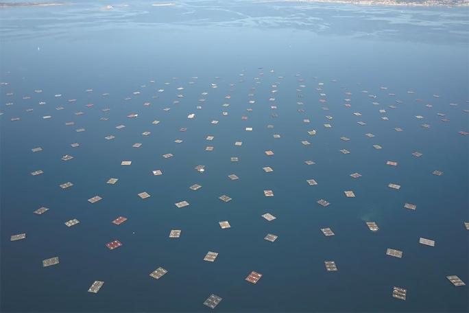 2018'in en iyi drone fotoğrafları