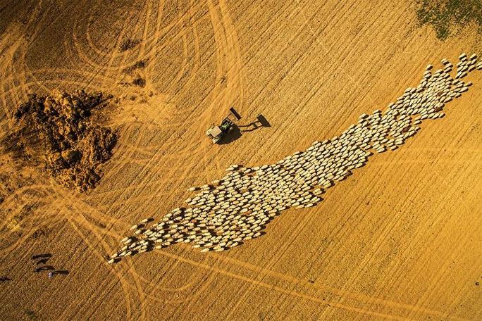 2018'in en iyi drone fotoğrafları