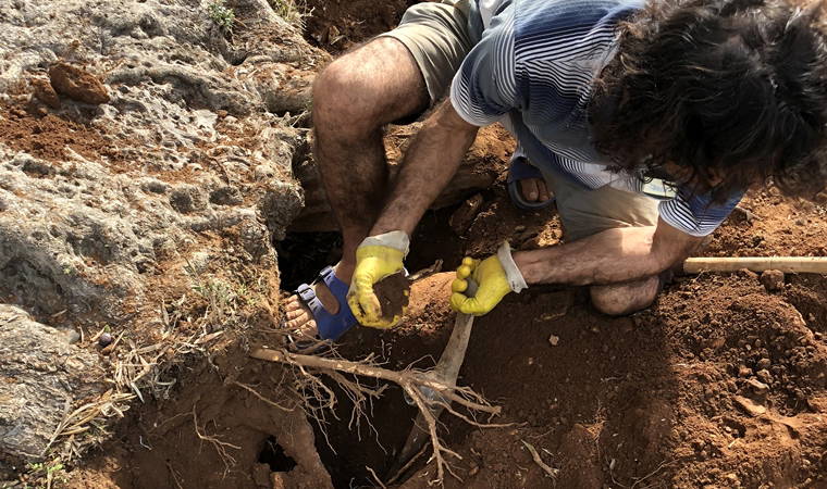 Muğla'daki o sırrı nükleer fizikçiler ortaya çıkardı!