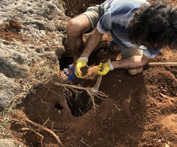 Muğla'daki o sırrı nükleer fizikçiler ortaya çıkardı!