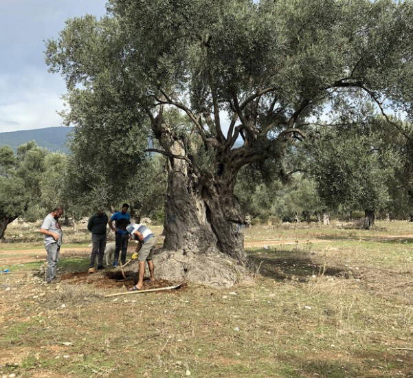 Muğla'daki o sırrı nükleer fizikçiler ortaya çıkardı!