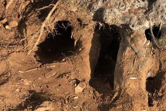 Muğla'daki o sırrı nükleer fizikçiler ortaya çıkardı!