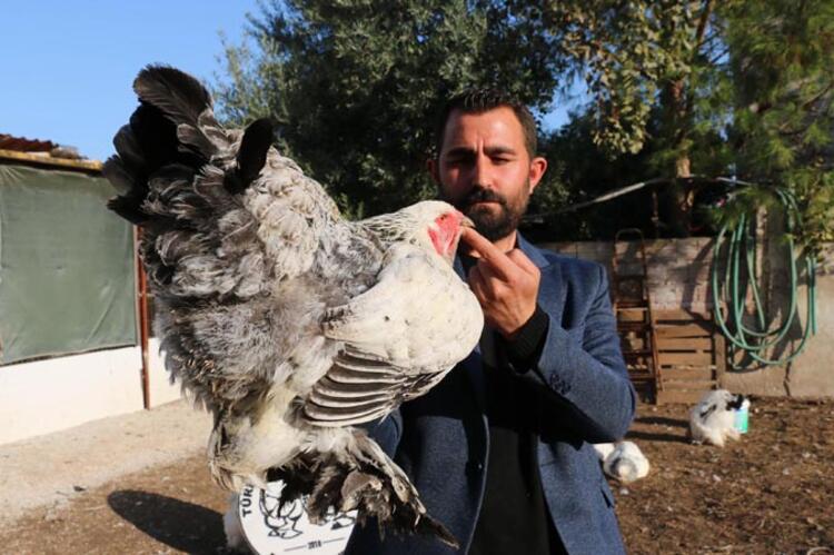 Yılda 200 bin TL kazanıyor