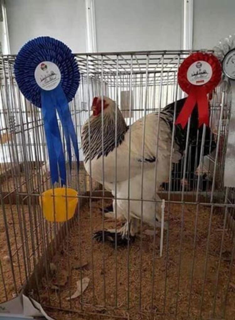 Yılda 200 bin TL kazanıyor