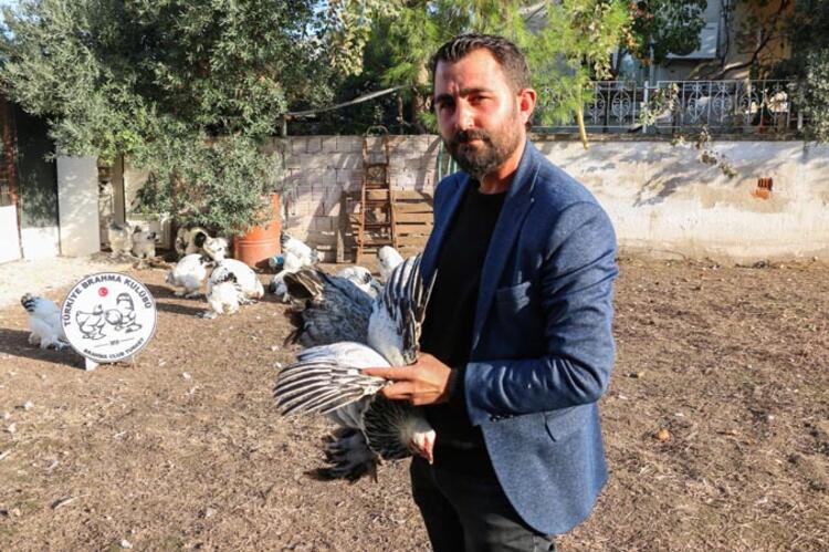 Yılda 200 bin TL kazanıyor