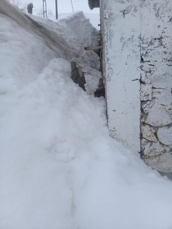 'Beyaz Gelincik' Tunceli'de görüntülendi