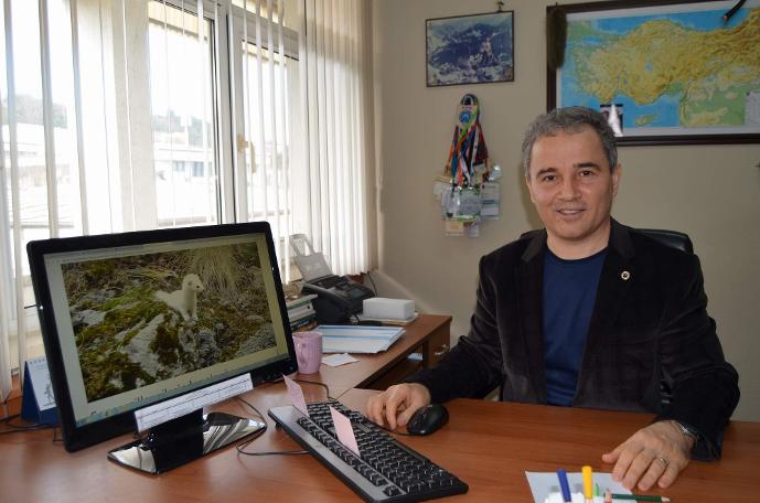 Beyaz gelinciğin sırrı ortaya çıktı