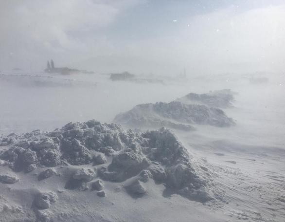Göz gözü görmedi... Eve dönüşte yakalandılar