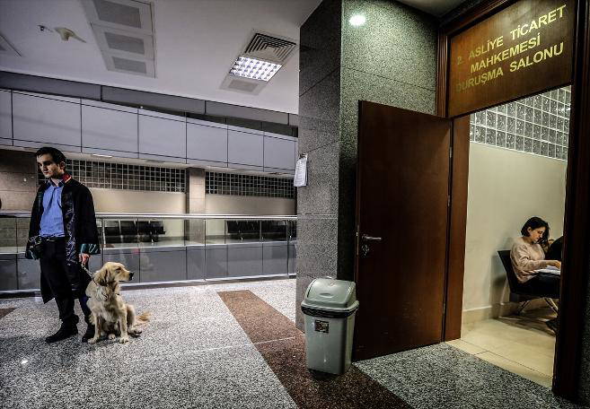 Rehber köpek duruşma salonunda