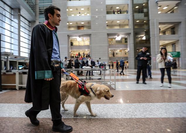 Rehber köpek duruşma salonunda