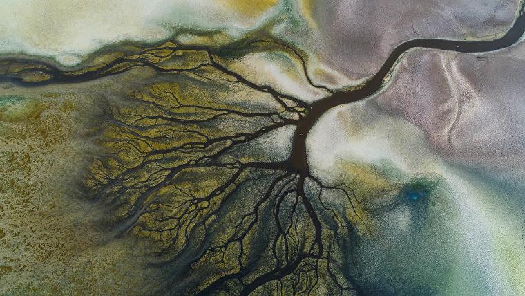 Yılın Basın Fotoğrafları yarışmasında ödüller sahiplerini buldu: Foto muhabirimiz Kurtuluş Arı'ya ödül