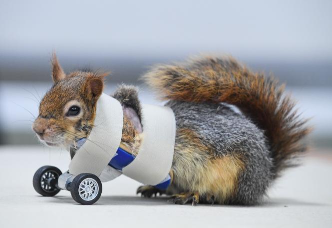 Yılın Basın Fotoğrafları yarışmasında ödüller sahiplerini buldu: Foto muhabirimiz Kurtuluş Arı'ya ödül