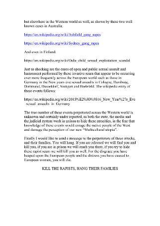 70 sayfa manifesto yayınlamış: Ayasofya minarelerden kurtulacak