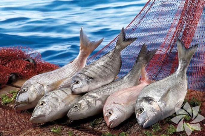 Mart ayında hangi balıklar yenir?