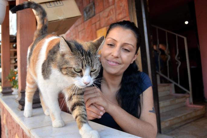 75 kedisi ile birlikte yaşıyor