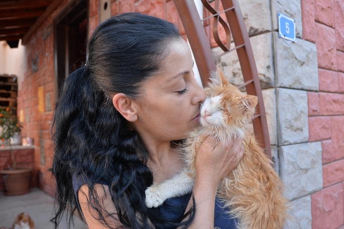 75 kedisi ile birlikte yaşıyor