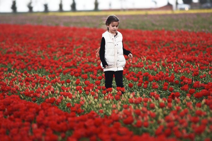 Konya Ovası'na ziyaretçi akını