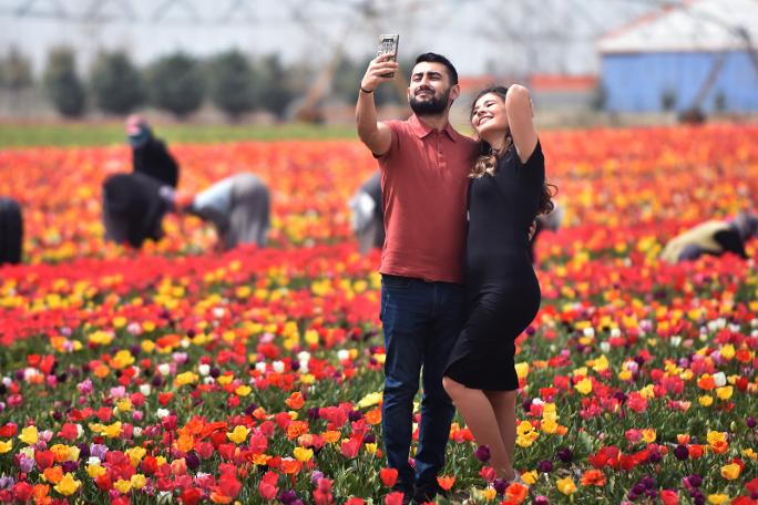 Konya Ovası'na ziyaretçi akını