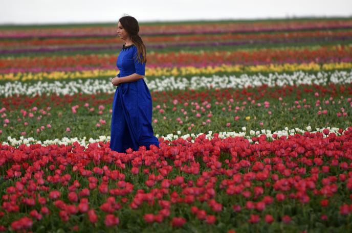 Konya Ovası'na ziyaretçi akını