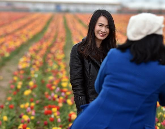 Konya Ovası'na ziyaretçi akını