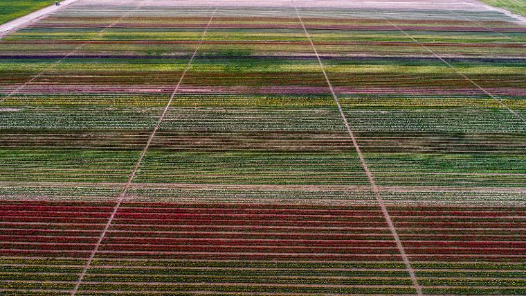 Konya Ovası'na ziyaretçi akını