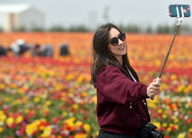Konya Ovası'na ziyaretçi akını