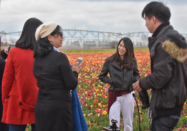 Konya Ovası'na ziyaretçi akını