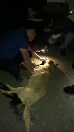 Uzun süre başında ağladı... 