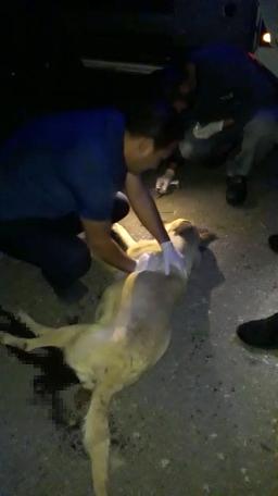 Uzun süre başında ağladı... 