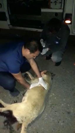 Uzun süre başında ağladı... 