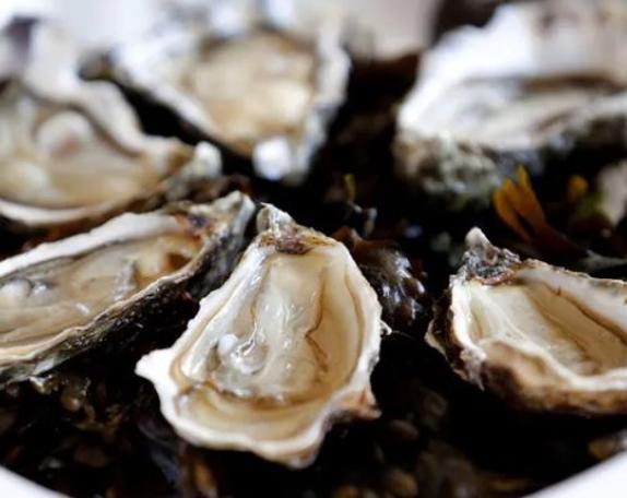 Sperm kalitesini artıran besinler!