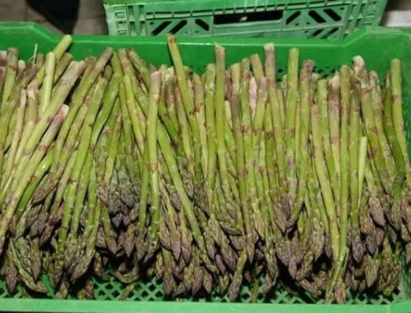 Sperm kalitesini artıran besinler!