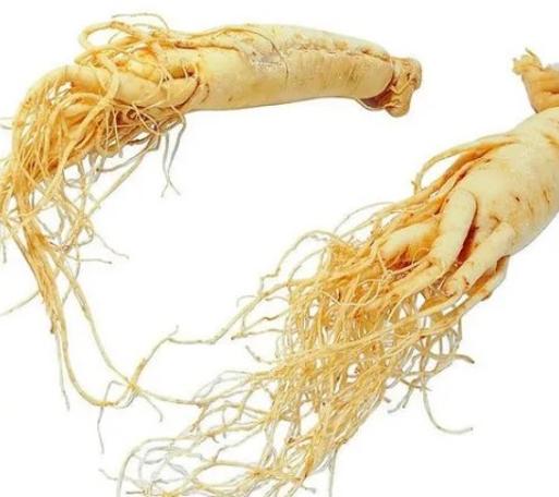 Sperm kalitesini artıran besinler!