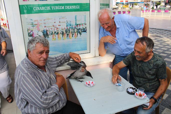 İsmi Döndü... 
