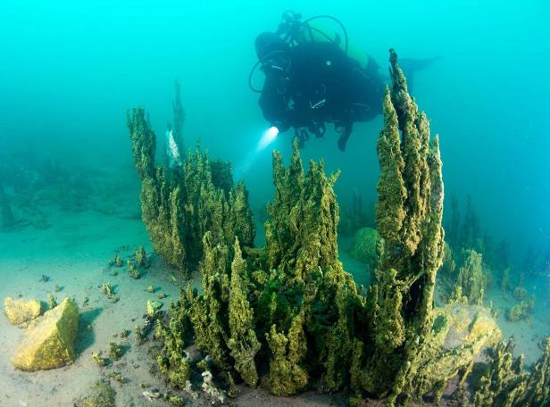 Van Gölü'ne su altı zenginlikleri için dalıyorlar